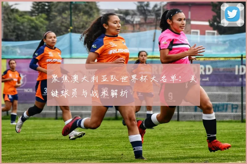 聚焦澳大利亚队世界杯大名单:关键球员与战术解析